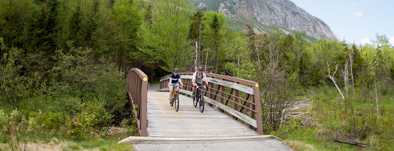 cannon mountain bikes